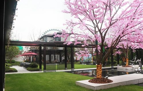 豪宅大师,金昌又出手了 合院样板房刷新绍兴低密产品新高度