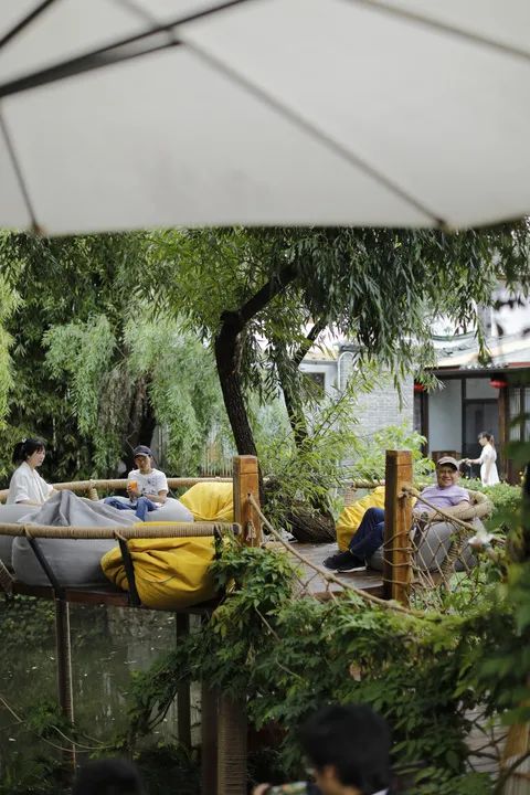 90后女孩在树上开咖啡馆,零宣传爆红,网友却羡慕她的遛狗日常