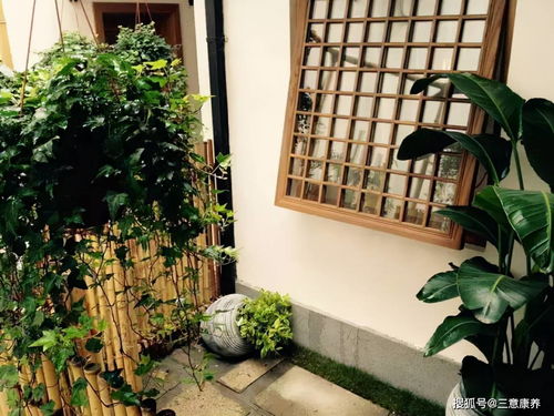 西子湖畔,踏春而来,杭州西湖边4天420元每人