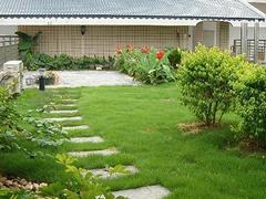 信誉好的屋顶绿化,提供专业的屋顶绿化-福州御景园环保科技提供信誉好的屋顶绿化,提供专业的屋顶绿化的相关介绍、产品、服务、图片、价格庭院设计、福州植物墙、福州屋顶绿化、福州墙体美化装饰、福州仿真植物墙、福州办公绿化、