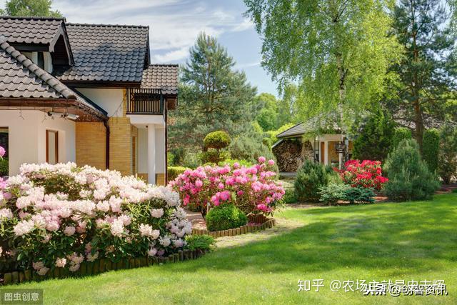 上海花园别墅 200坪院子 打造网红庭院 告别喧嚣