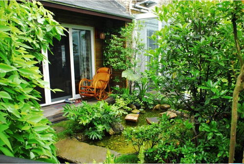 南京庭院设计中植物选择的六大影响因素