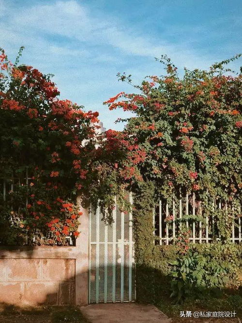 私家庭院设计 打造专属的户外生活空间